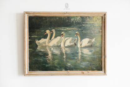 Elegant Swans in Pond | Ingall Nocturne, 2024