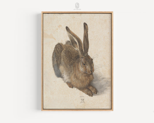 Hare | Albrecht Dürer, 1502